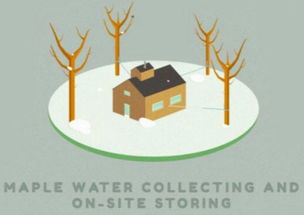 楓樹汁進口全鏈路解析 從海外源頭到互聯(lián)網(wǎng)終端的成功之道